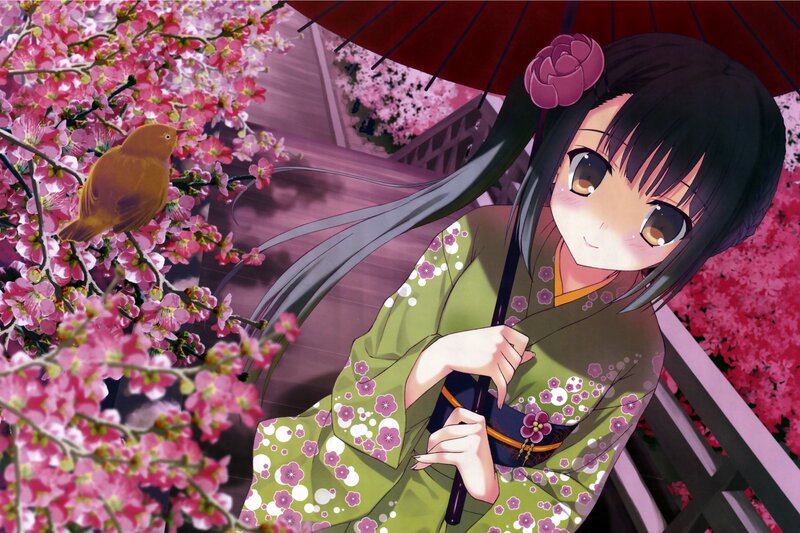 Anime Girl with Umbrella — Pink, Serene, Spring, Cherry Blossoms, Bird