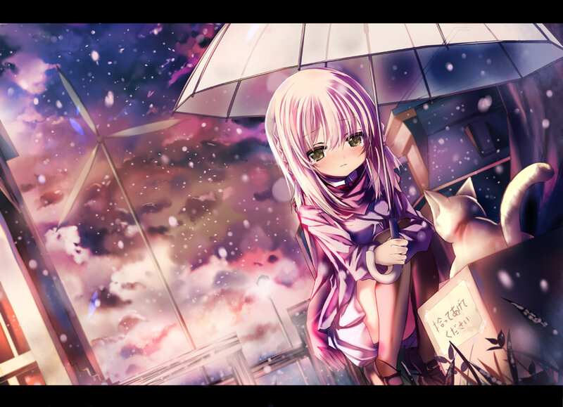 Anime Girl with Umbrella — Purple, Dramatic, Night, Digital Art, Cat