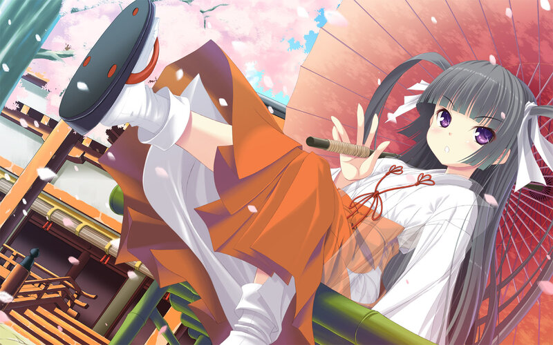 Anime Girl with Umbrella — White, Serene, Spring, Sakura
