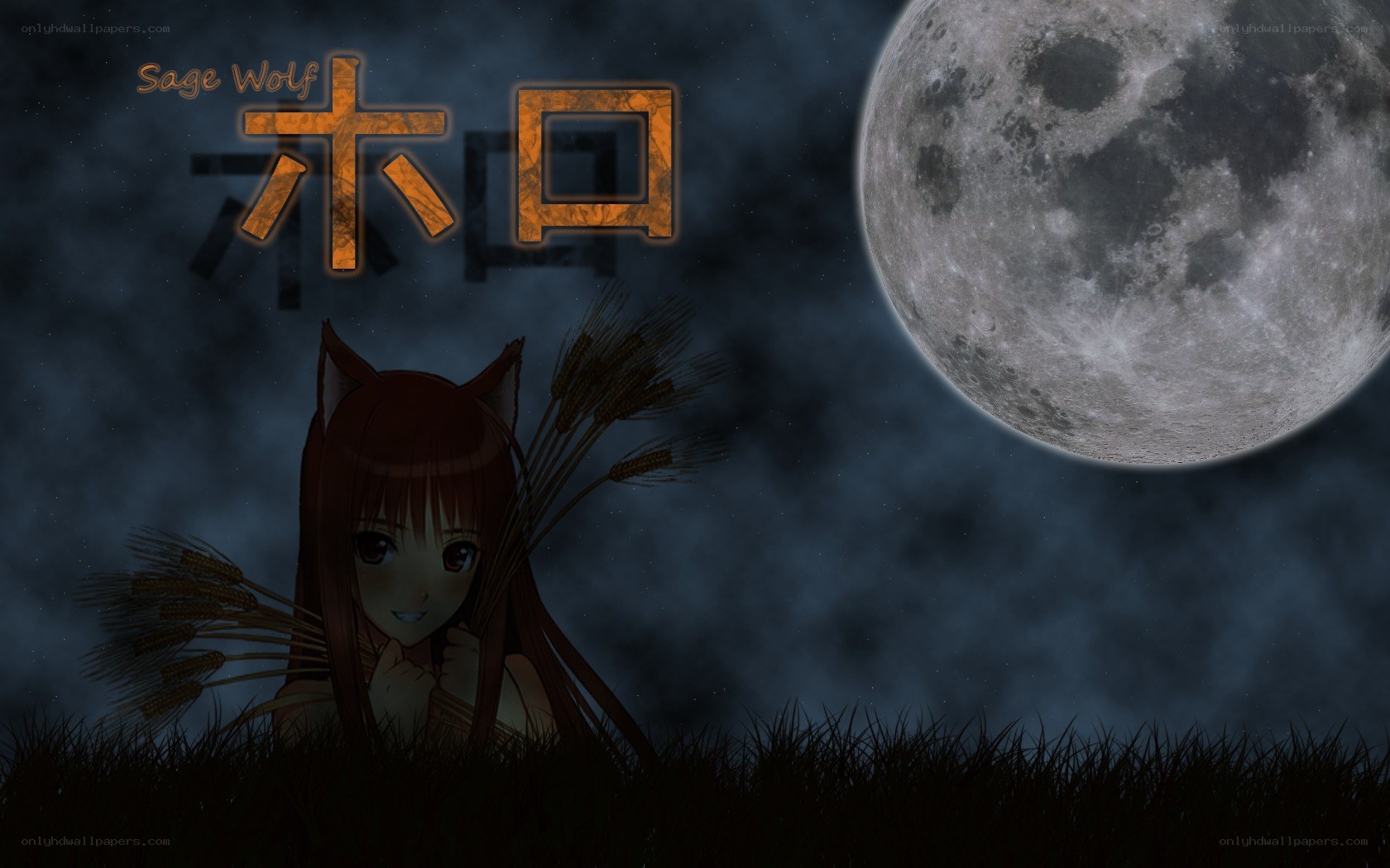 Anime girl with wheat under moon