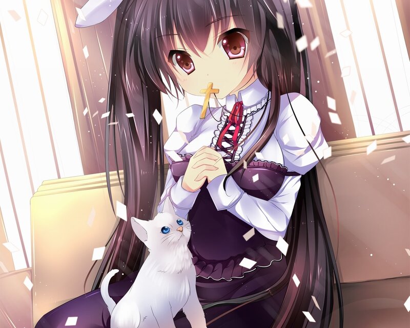 anime girl with white cat