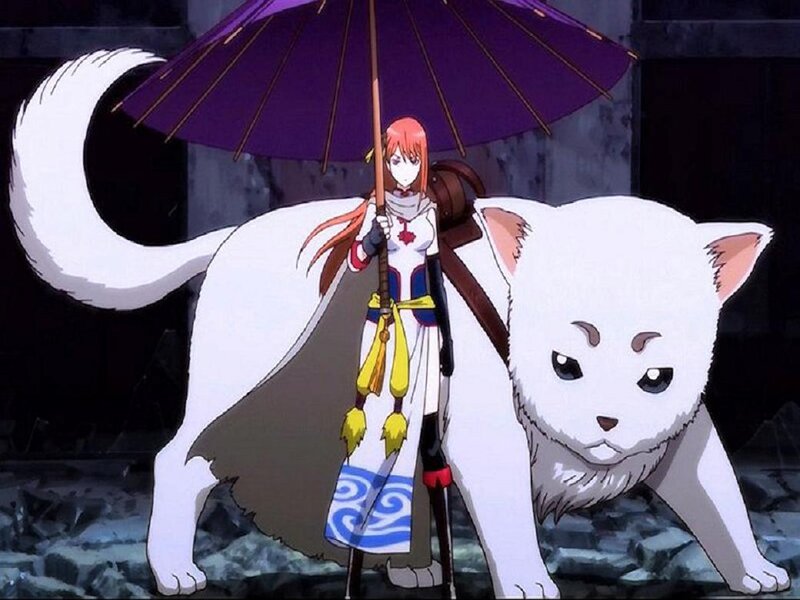Anime Girl with White Cat — Dramatic