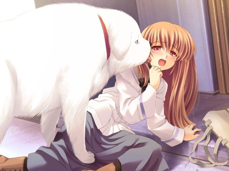 Anime girl with white dog