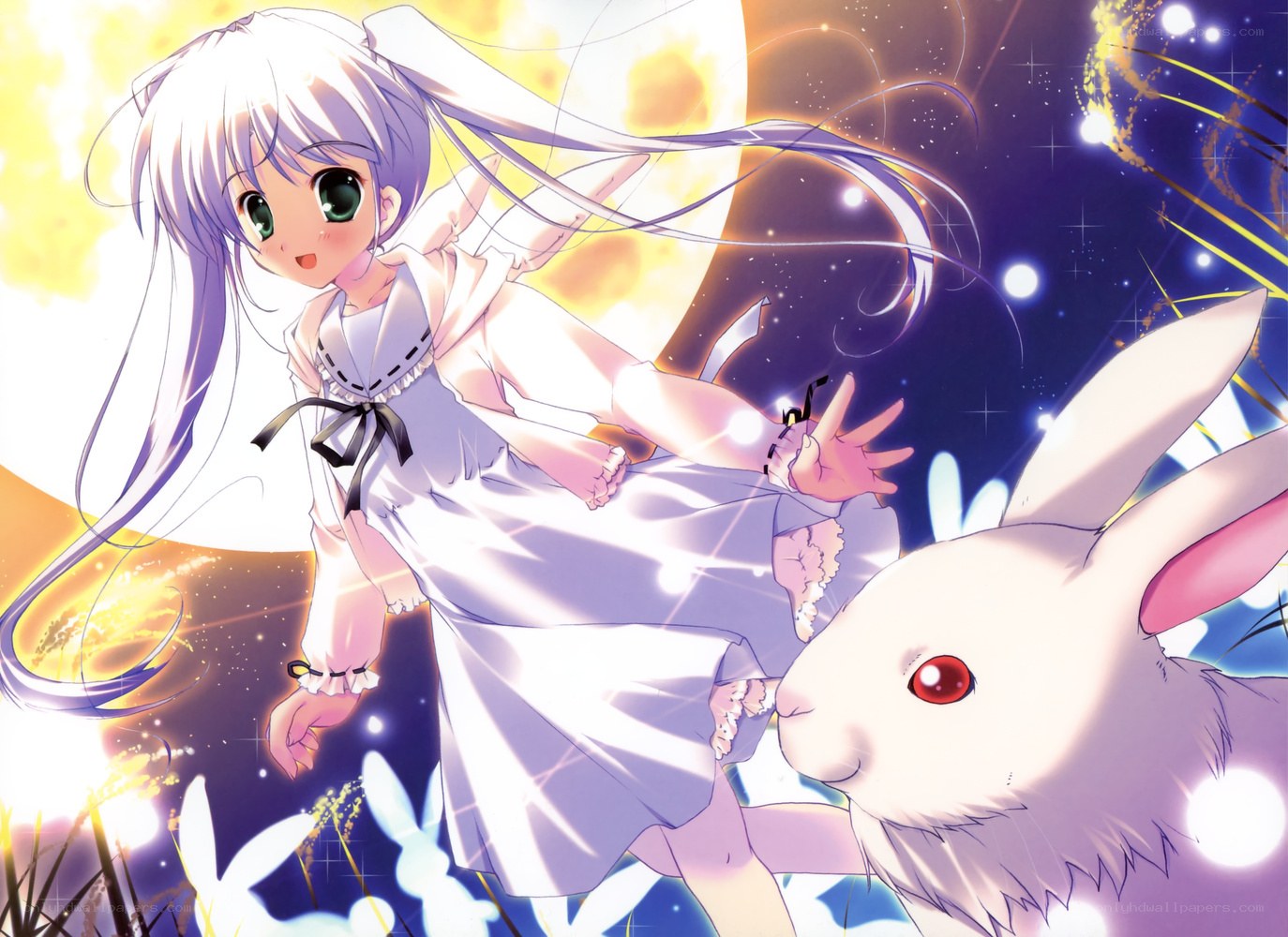 Anime girl with white rabbit
