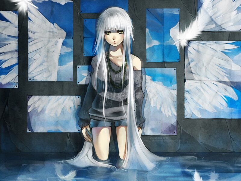 Anime girl with white wings