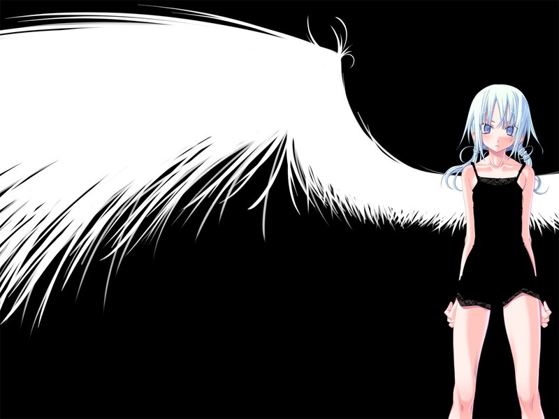 anime girl with white wings