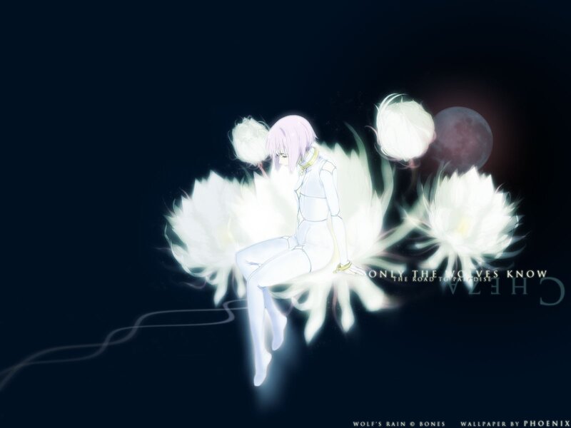 Anime Girl with White Wings — Black