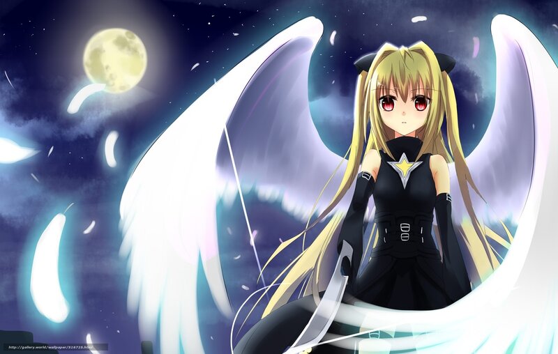 Anime Girl with Wings — Black, Dramatic, Night, Moon, Cat Ears
