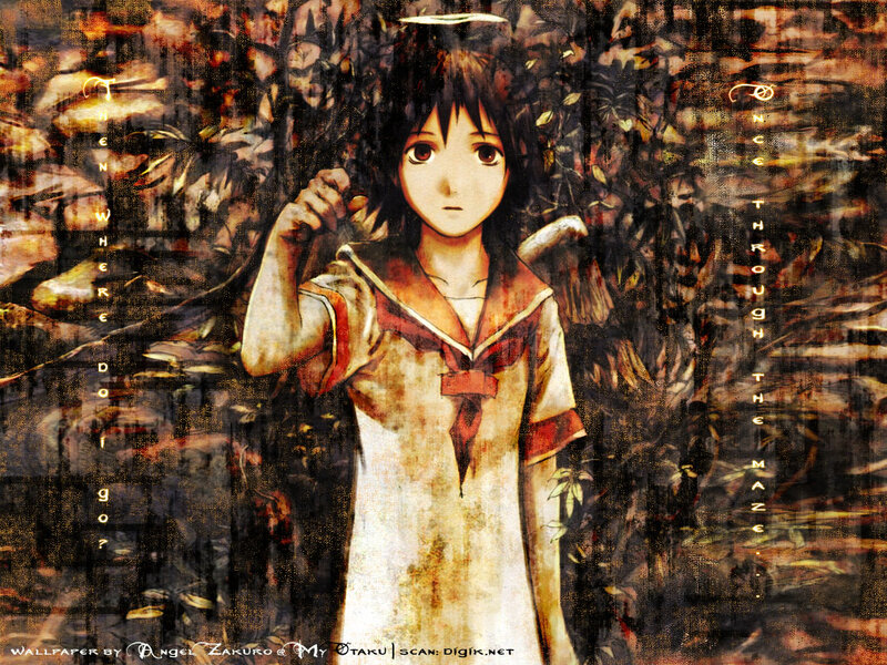 Anime Girl with Wings — Brown, Dramatic, Manga