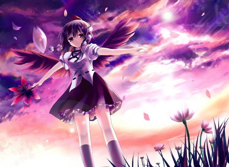 anime girl with wings in sunset