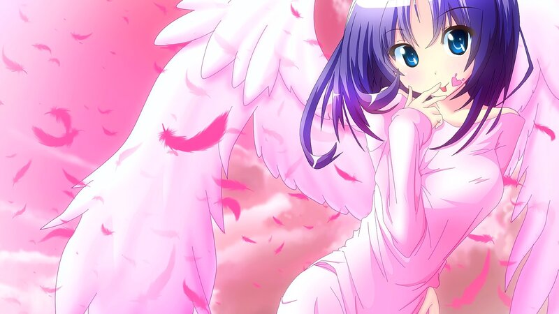 Anime Girl with Wings — Pink, Dreamy, Feathers, Blue Eyes