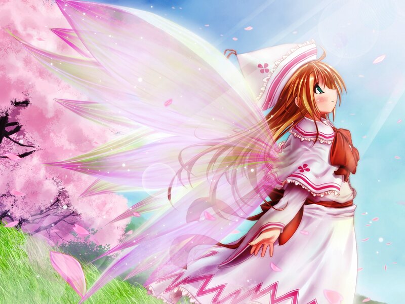 Anime Girl with Wings — Pink, Serene, Spring, Digital Art, Cherry Blossoms, Grass
