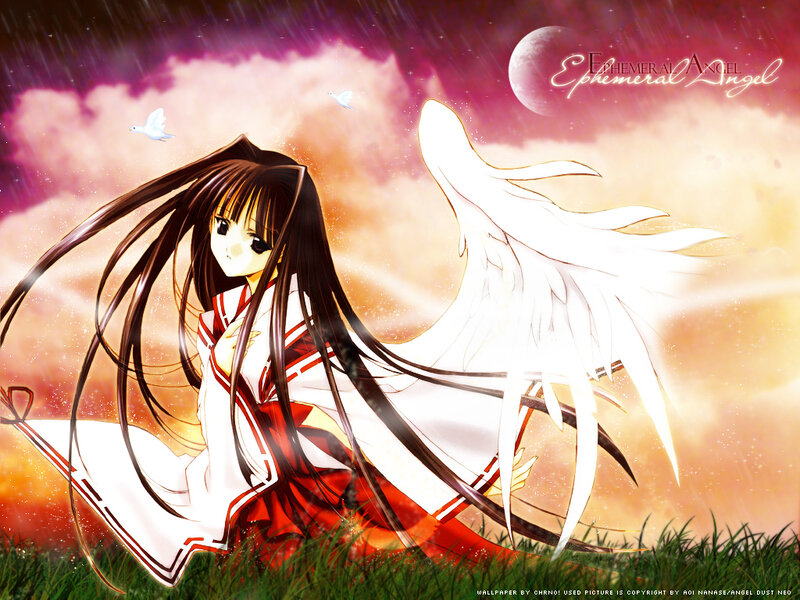 Anime Girl with Wings — Purple, Dramatic, Sunset, Doves