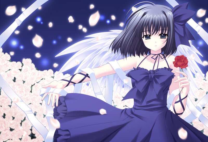 Anime Girl with Wings — Purple, Serene, Night, Rose