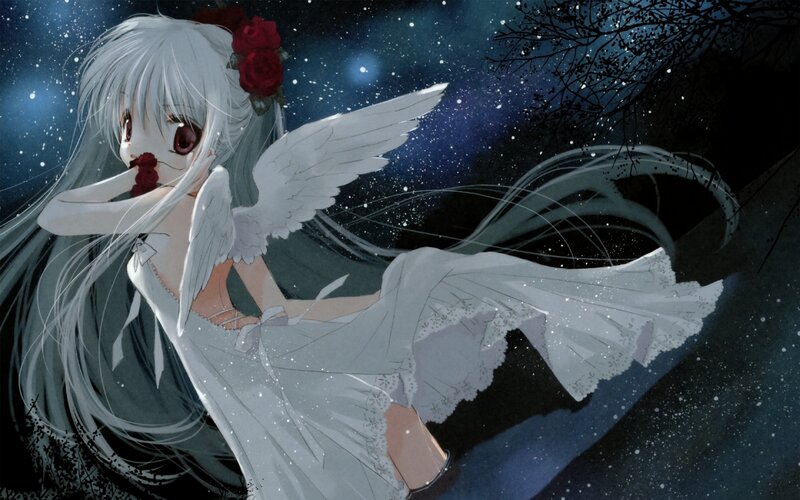 Anime Girl with Wings — White, Serene, Night, Digital Art