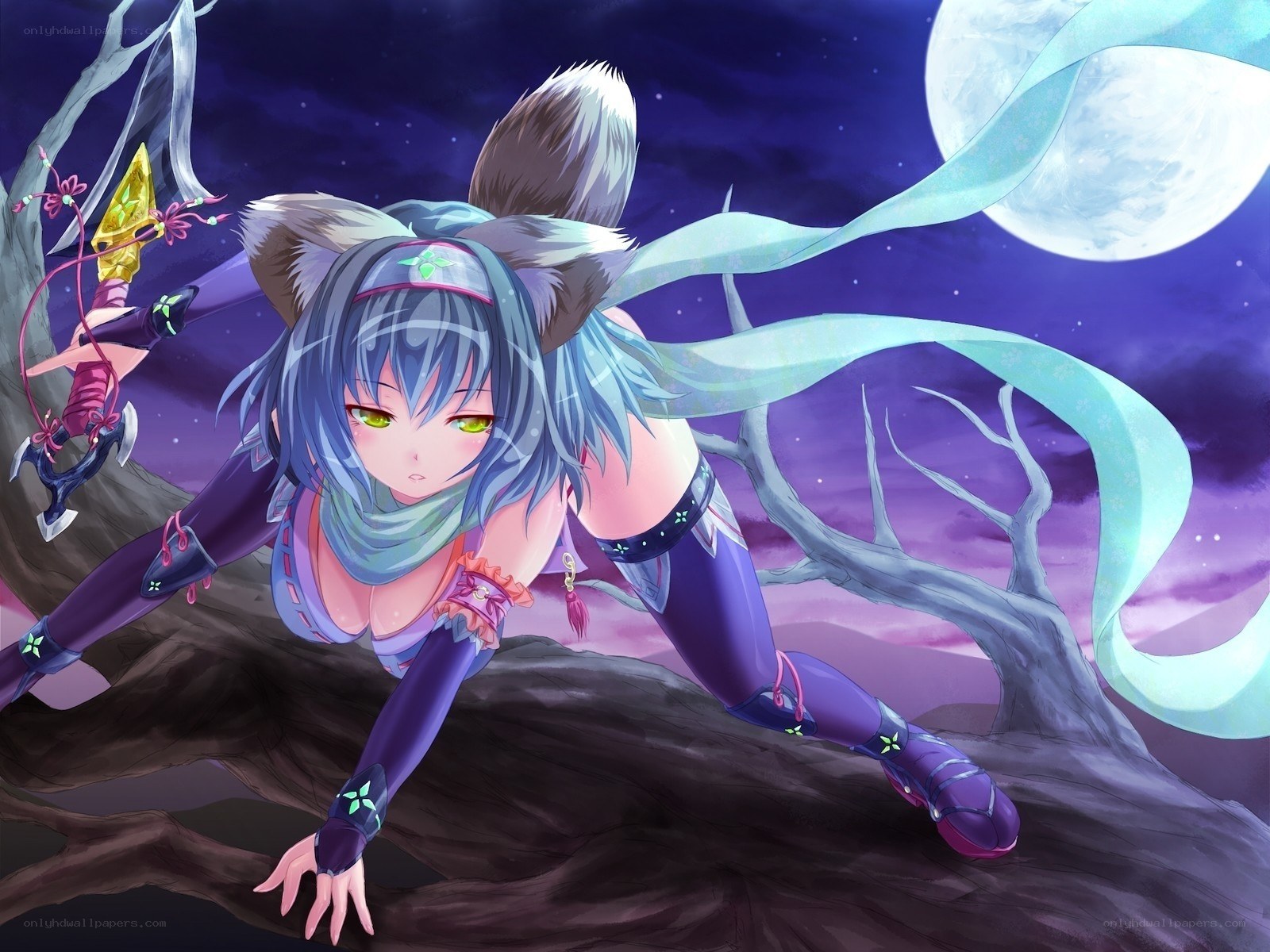 anime girl with wolf ears