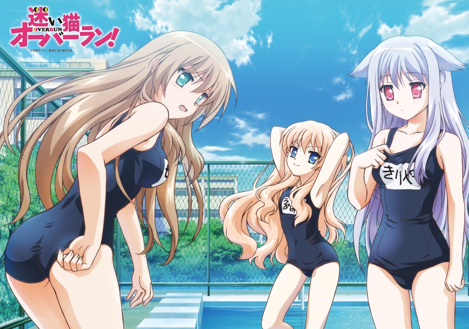 Anime girls at a pool