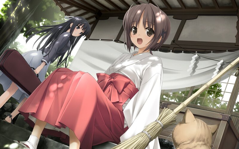 Anime girls at a shrine