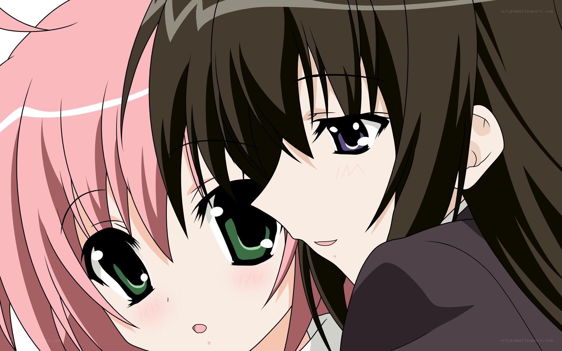 anime girls close-up