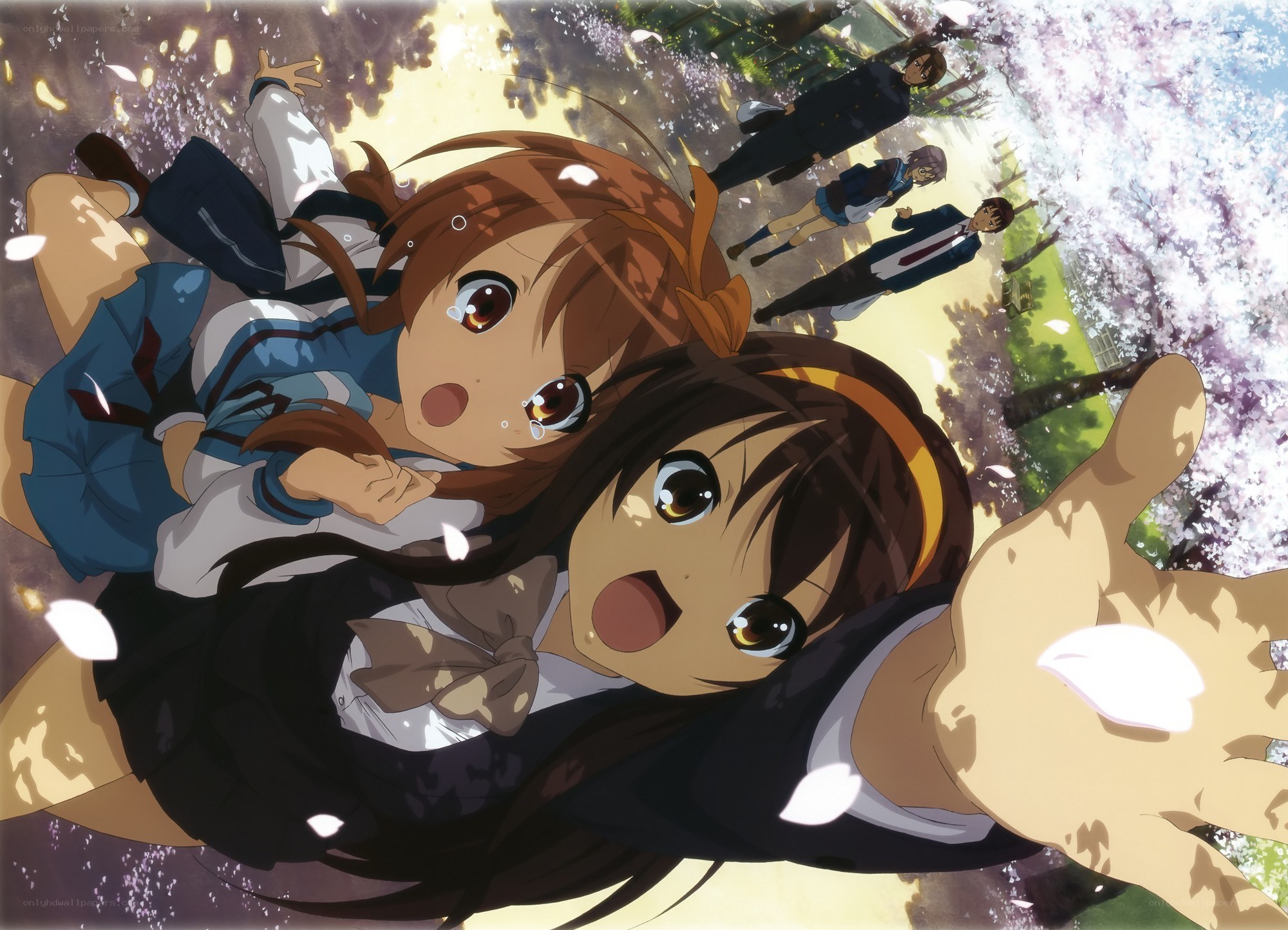 Anime girls falling in cherry blossoms
