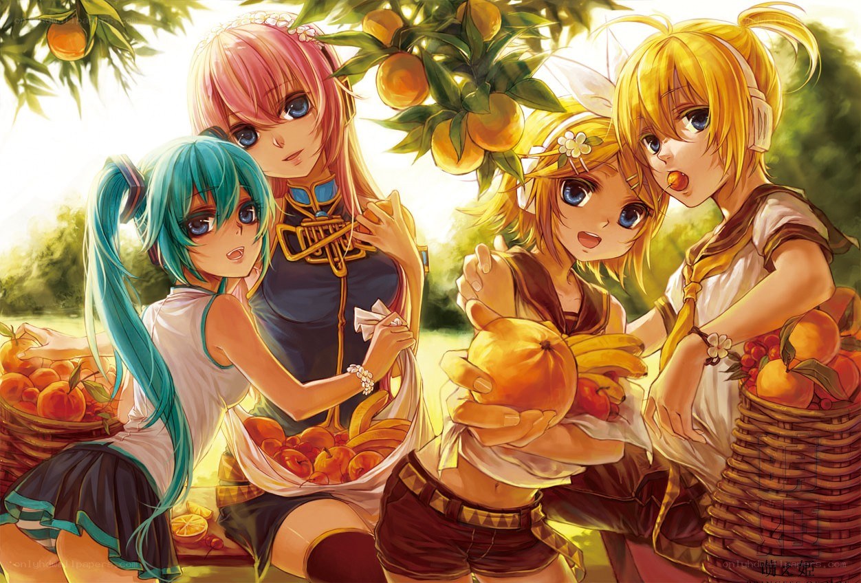 Anime girls harvesting oranges