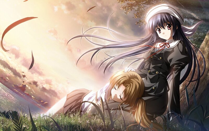 Anime girls in a field