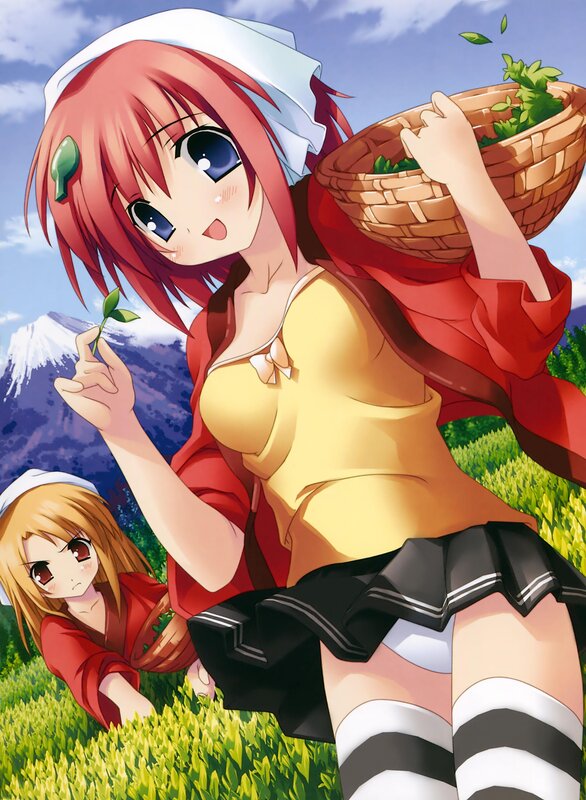 Anime girls in a field