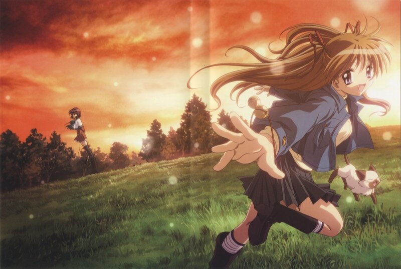Anime girls in a field at sunset