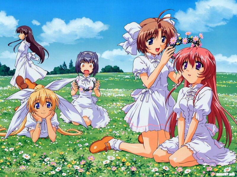 Anime girls in a flower field