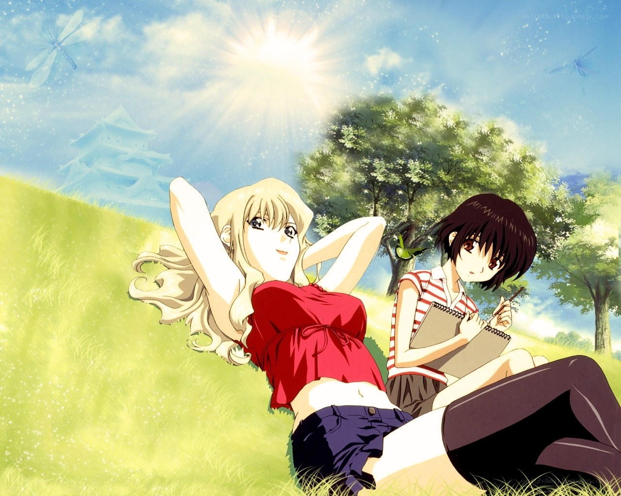 Anime girls in a sunny field