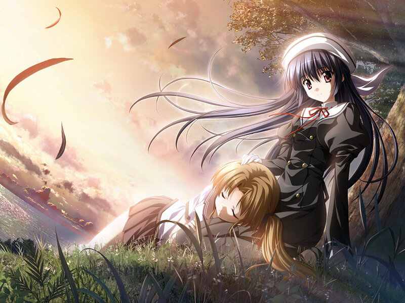 Anime girls in a sunset field