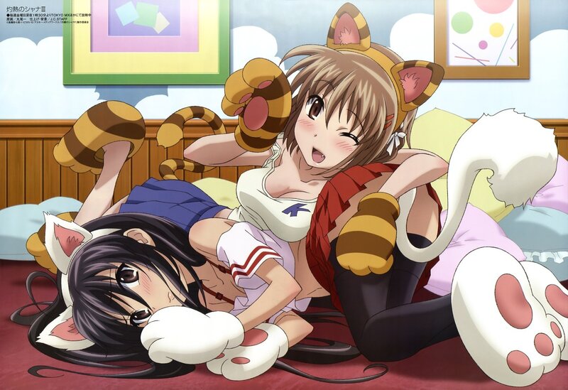 Anime girls in animal costumes