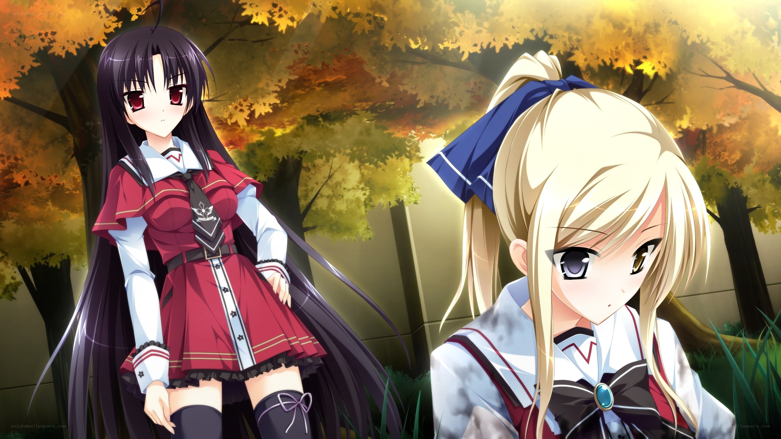 Anime girls in autumn