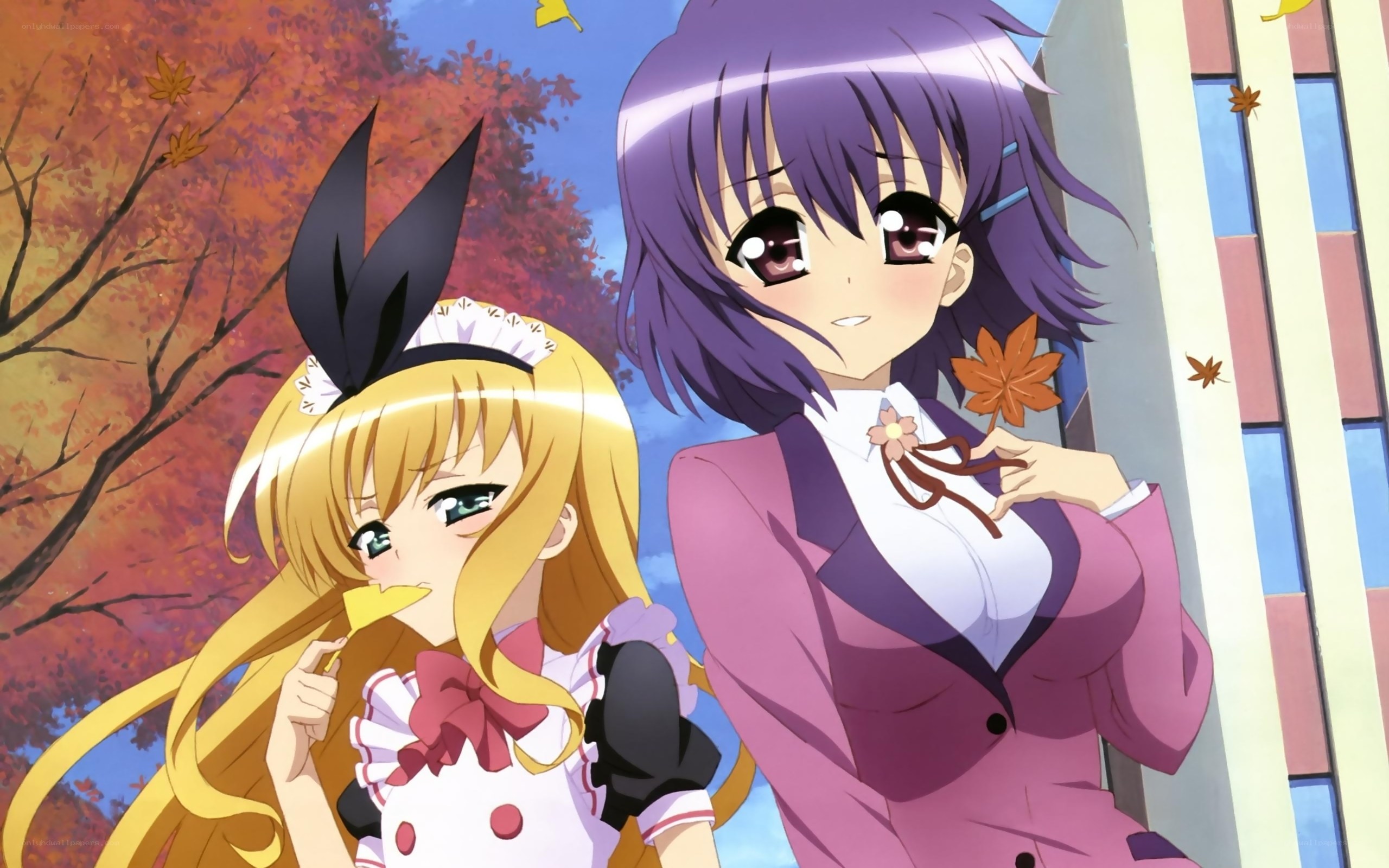 Anime girls in autumn