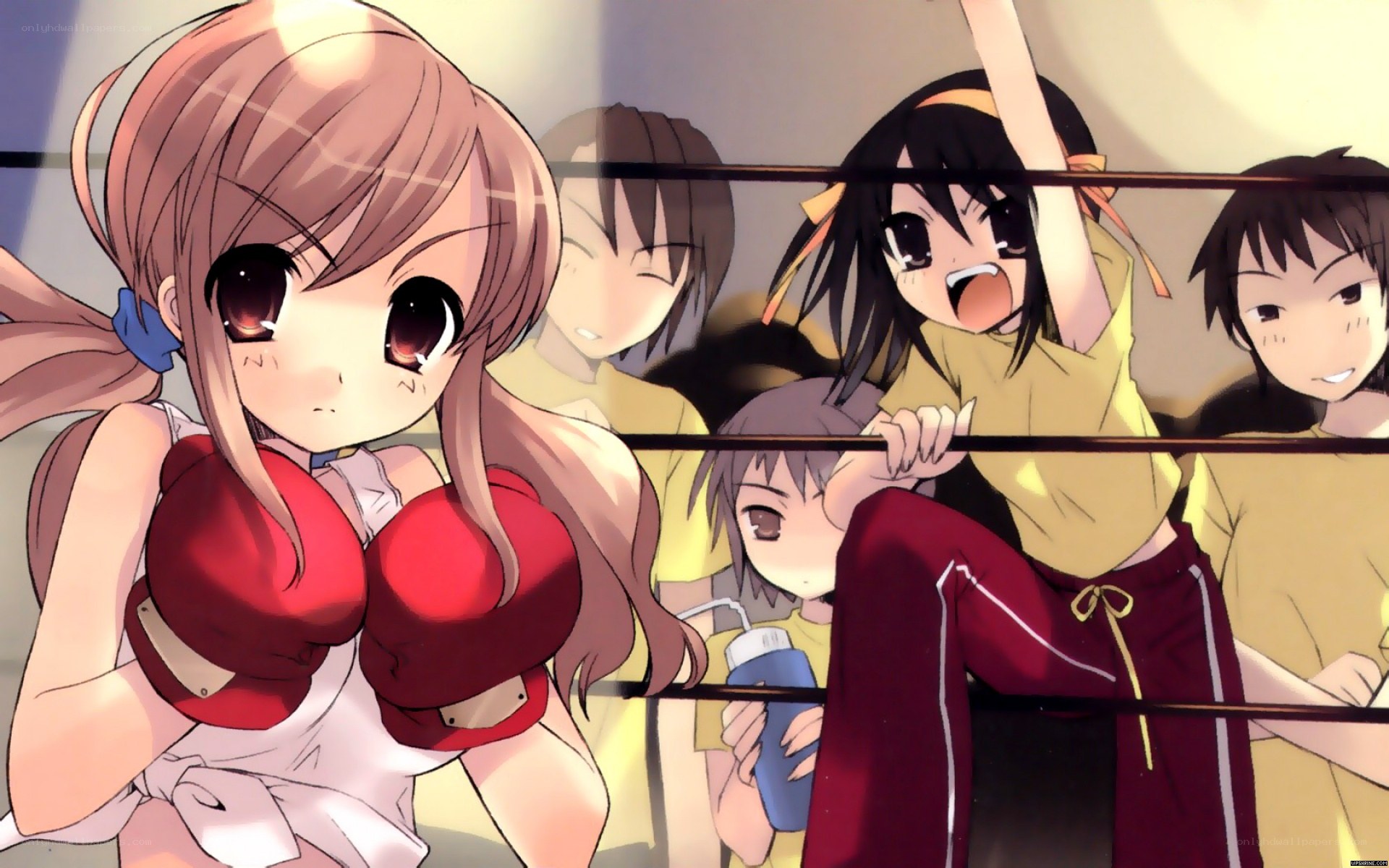 anime girls in boxing ring