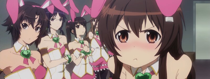 Anime Girls in Bunny Costumes — Brown