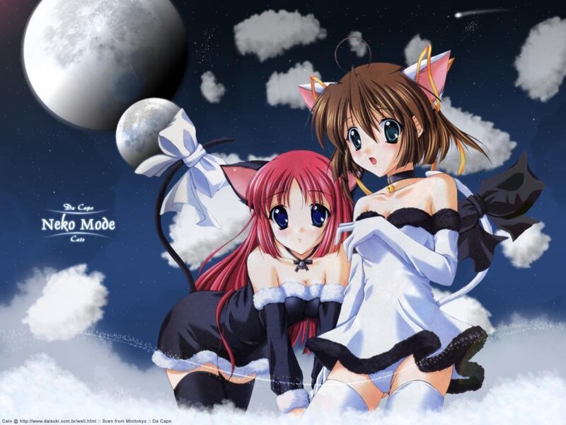 Anime girls in cat costumes