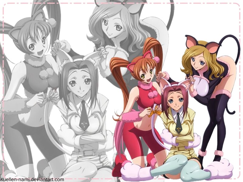 Anime Girls in Cat Costumes — Red