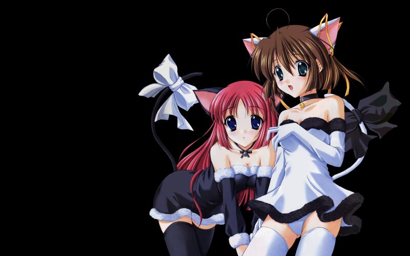 anime girls in cat costumes