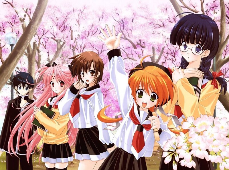 anime girls in cherry blossom