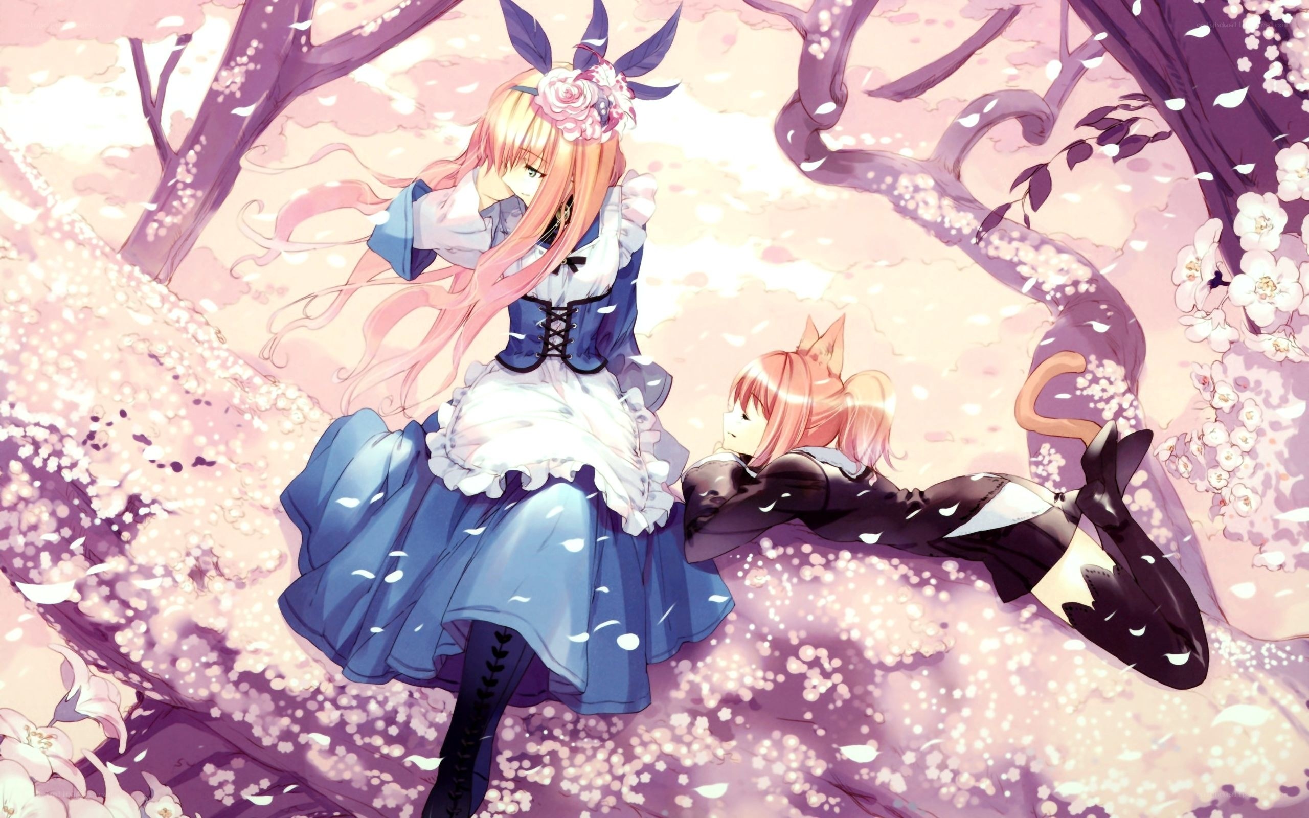 Anime girls in cherry blossom