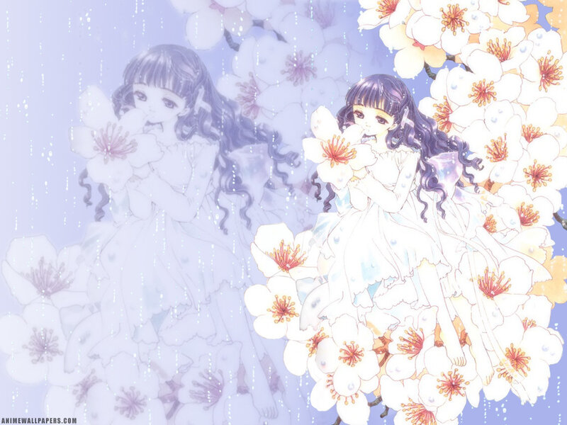Anime girls in cherry blossoms