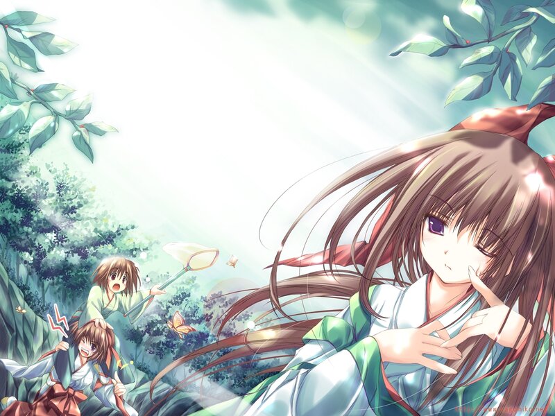 Anime Girls in Forest — Green, Serene, Morning