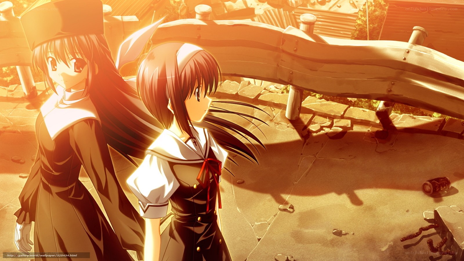 Anime girls in golden light