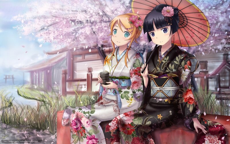 Anime girls in kimonos under cherry blossoms