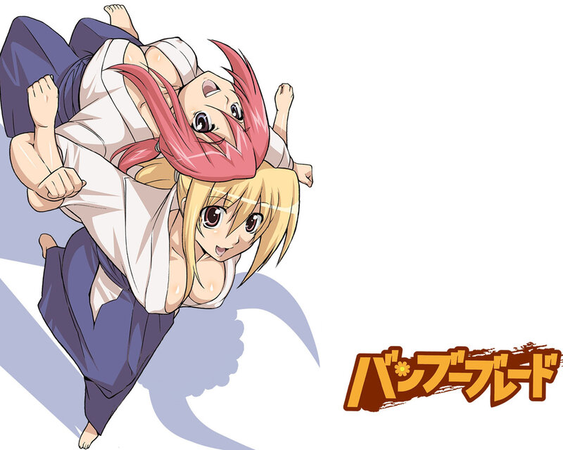 anime girls in martial arts