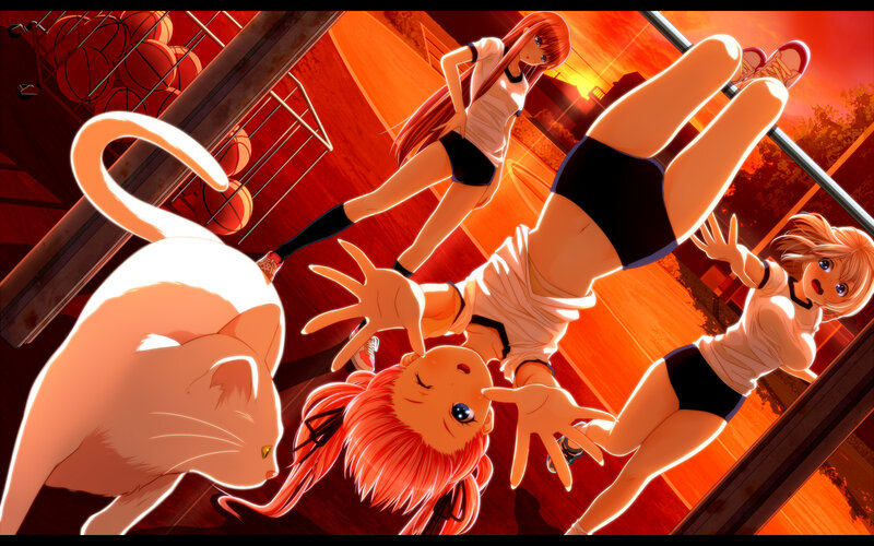 Anime Girls on Basketball Court