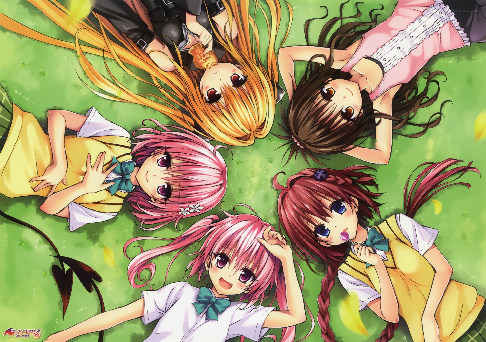 anime girls on grass