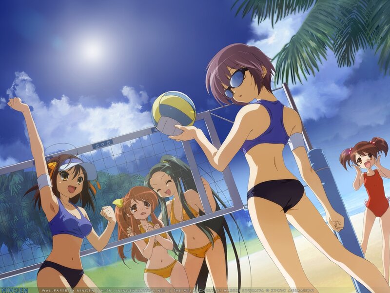 Anime Girls Playing Volleyball — Blue