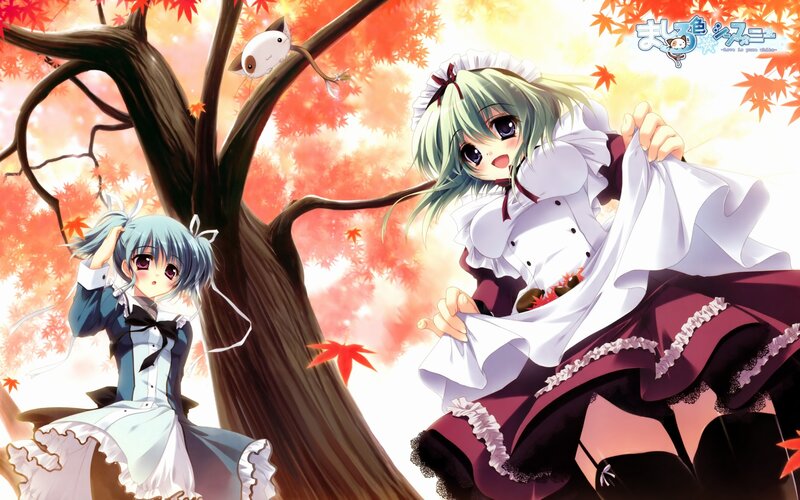 Anime girls under a maple tree